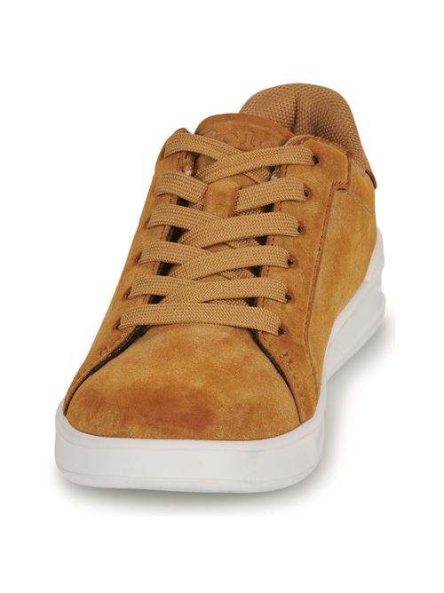 Sneakers Cognac RALPH LAUREN | RF104308K